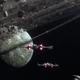 Illustration for article titled This Is The Biggest Vehicle Surprise In The New Star Wars: The Last Jedi Trailer